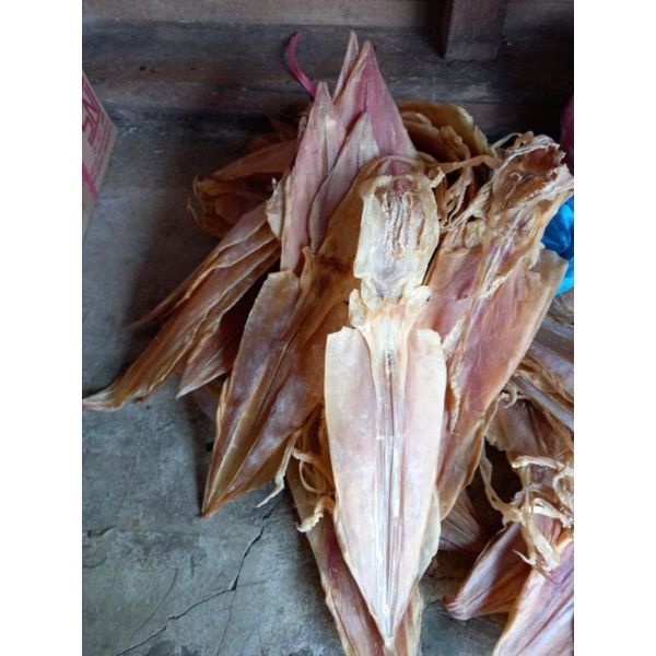 

Cumi Juhi Besar Asin High Premium Fresh Quality 500gr