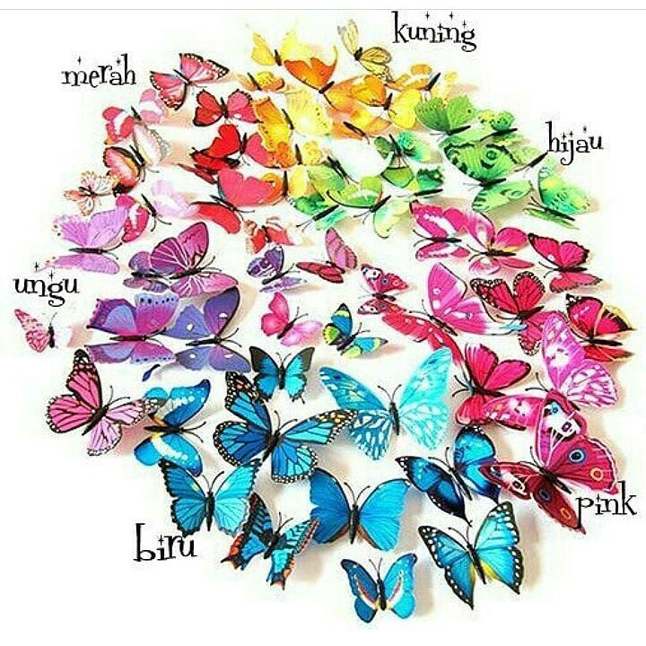 Wall sticker 3D butterfly