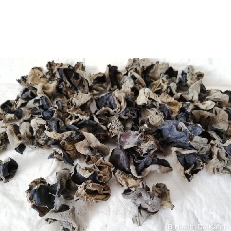 

1 KG JAMUR KUPING HITAM KERING / BOKJI HERBAL