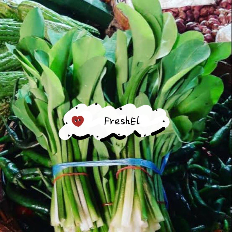 

FreshEl - DAUN GENJER 1 IKAT