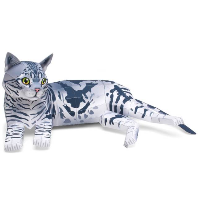 American Cat Shorthair (Male, Resting) Papercraft