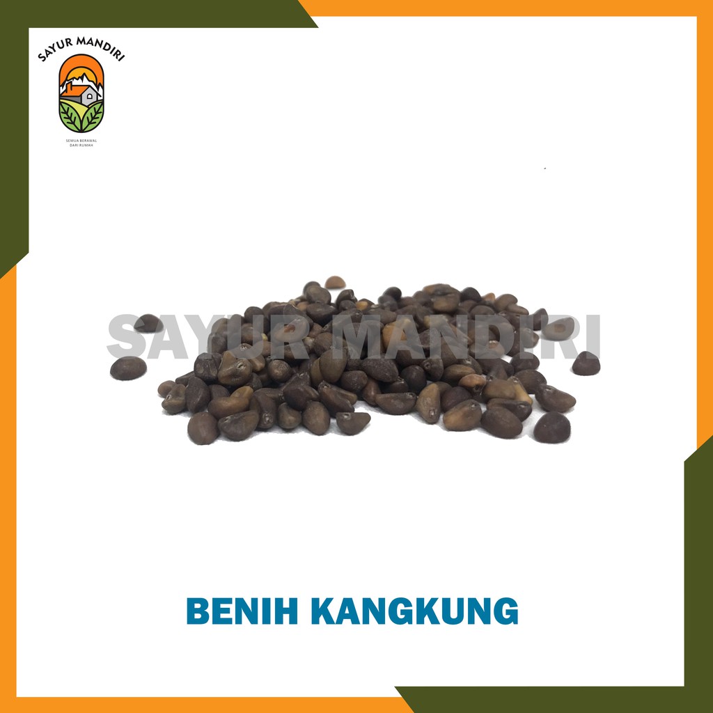 Benih Kangkung Seribuan