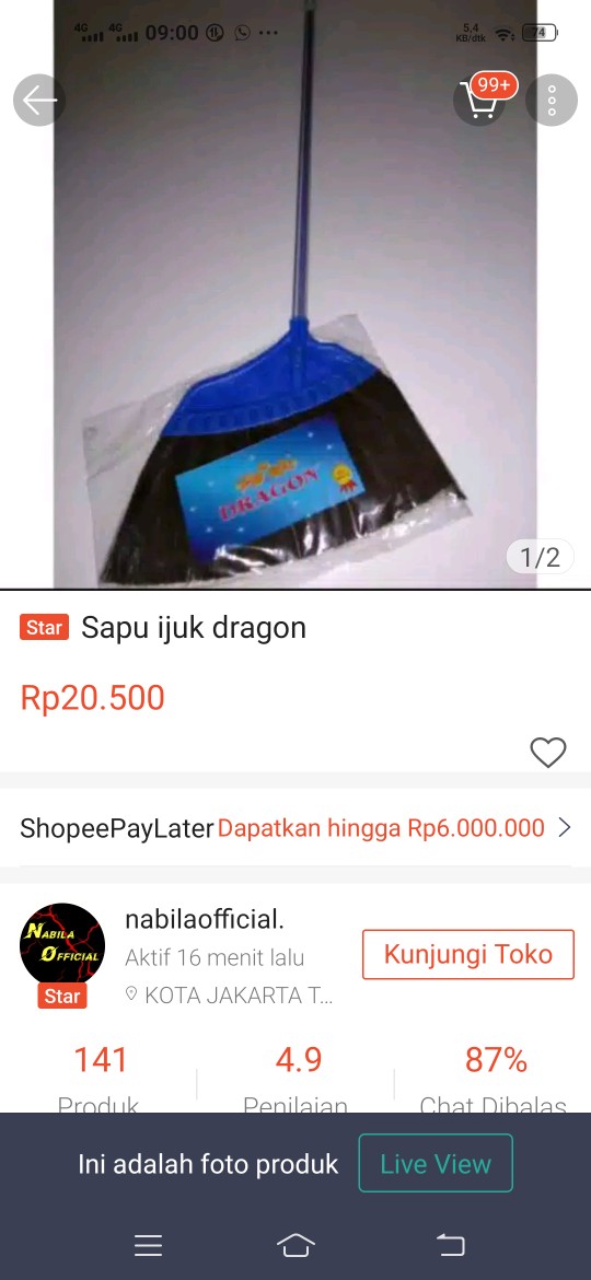 Sapu Ijuk Dragon