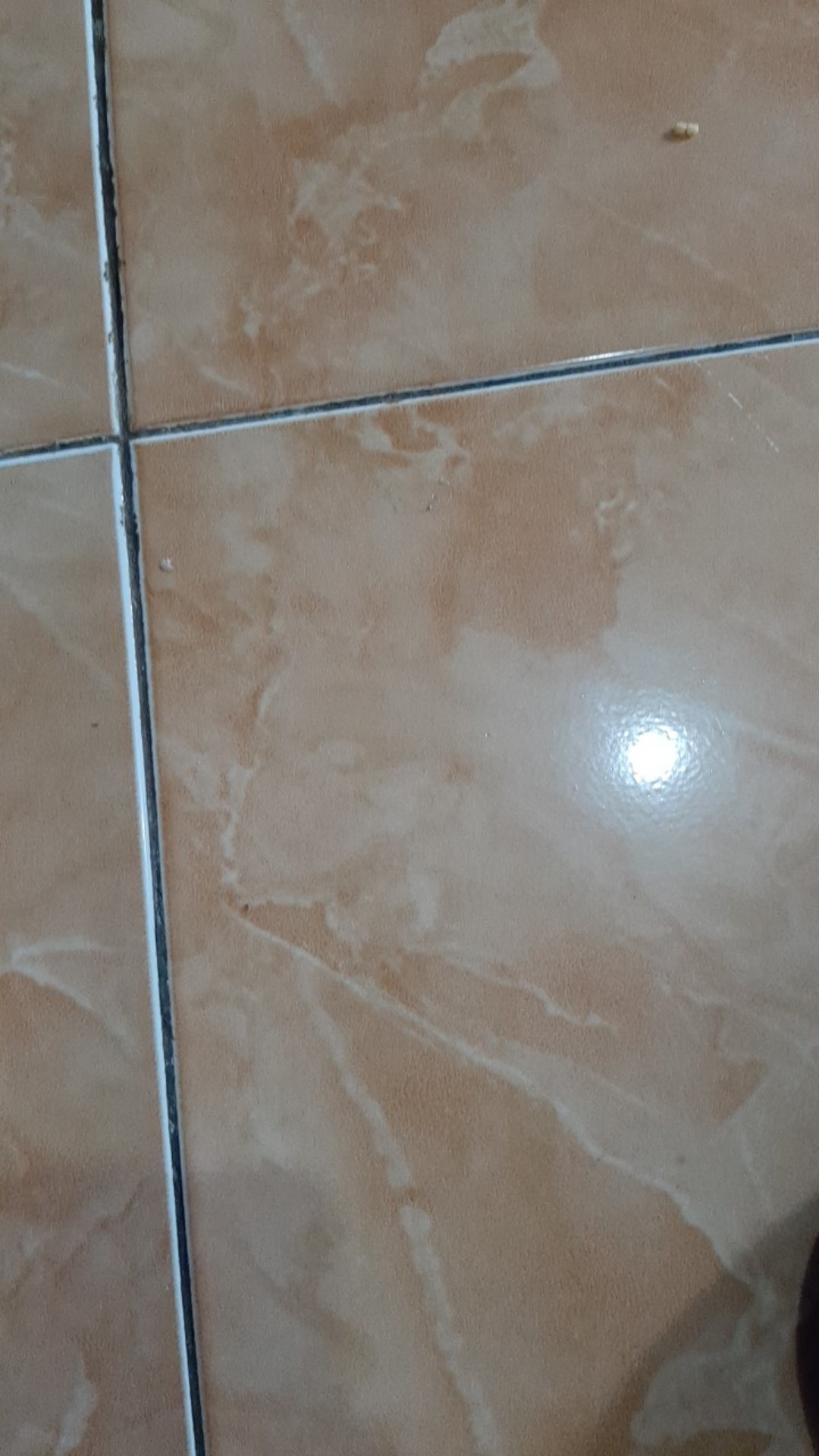 Set Pisau Dapur Hitam 5 Pcs In 1 Cetakan Telur Chef Knife-terbaru Cod