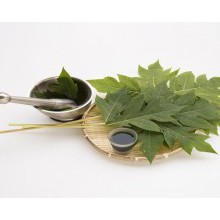 

Daun Pepaya 500 gr
