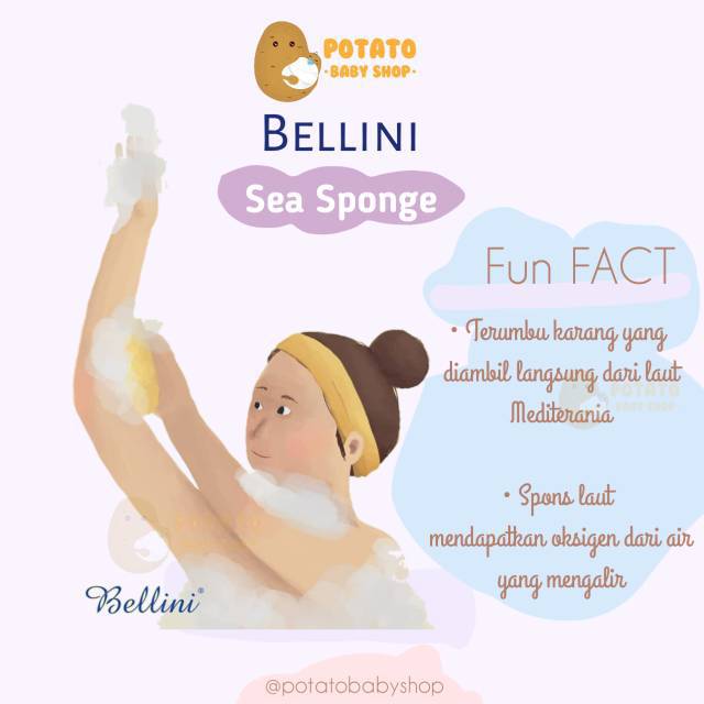 Bellini Sea Sponge / spons mandi bayi