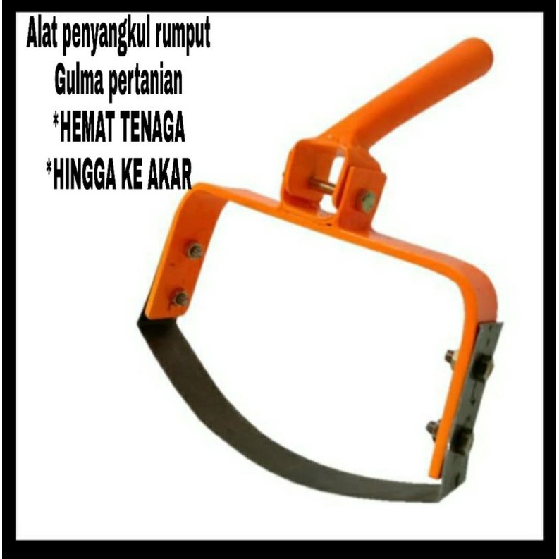CANGKUL PEMOTONG RUMPUT GULMA PERTANIAN | ALAT PEMBASMI RUMPUT