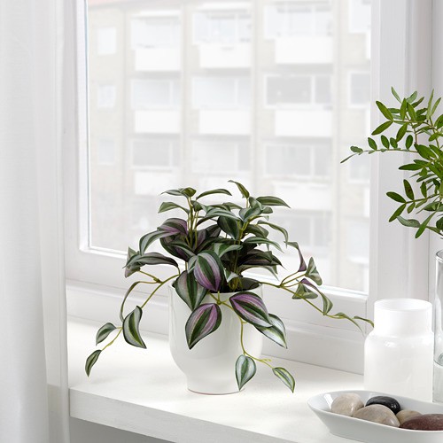 FEJKA tanaman tiruan dalam pot Spiderwort 9 cm