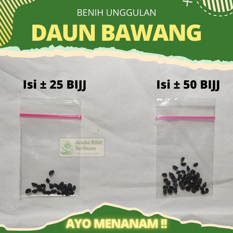 Benih Daun Bawang unggulan