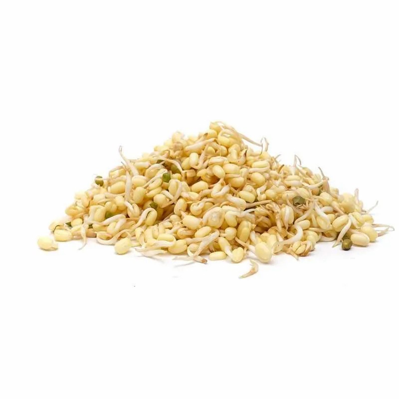 

HarvestMoon Tauge Rawon @250gr