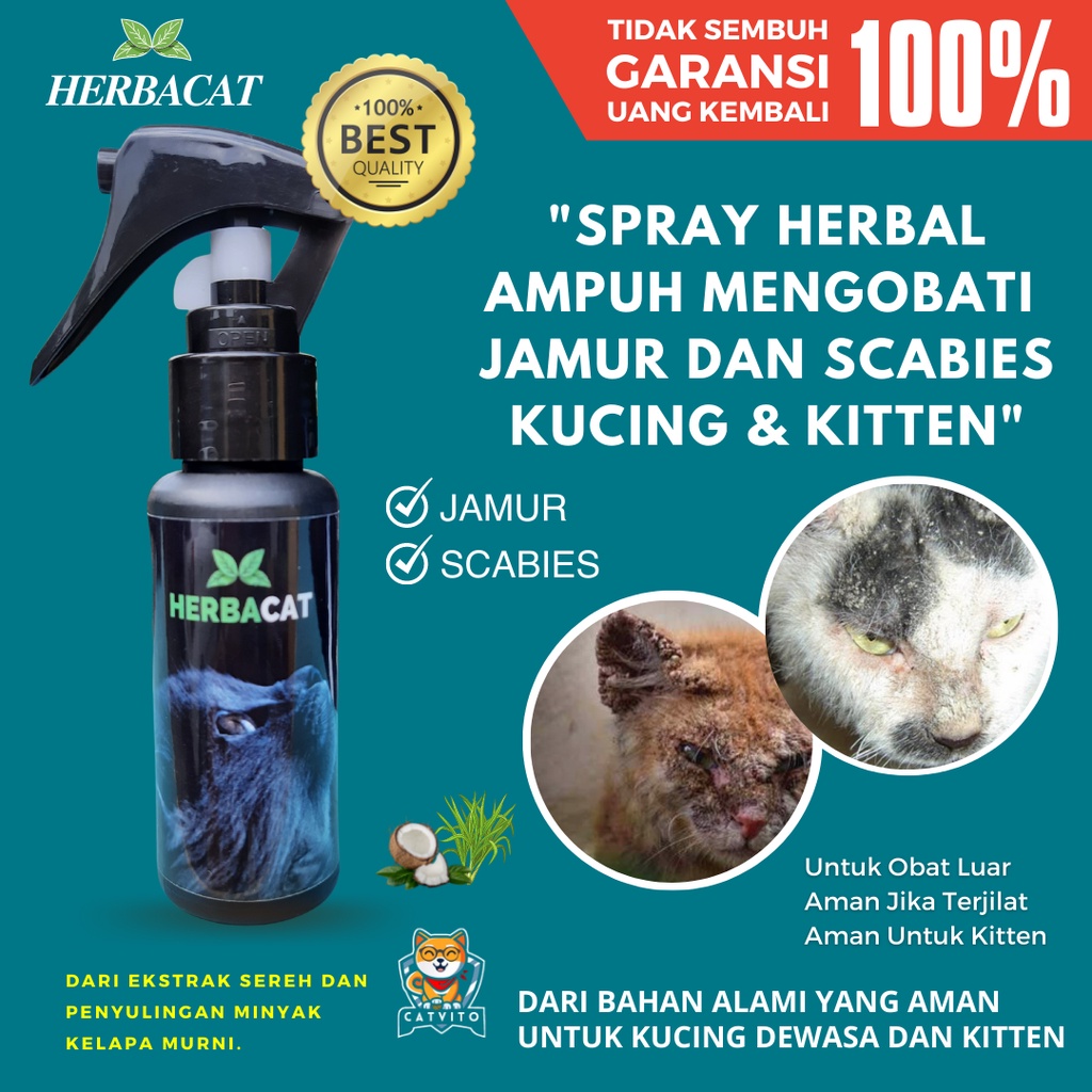 Obat Jamur Kucing Herbal Alami Mengatasi Scabies Ringworm Gatal Bulu Kucing HERBACAT Spray Aman Untuk Kitten Kucing hamil Menyusui Tanpa Efek Samping Bersihkan Jamur