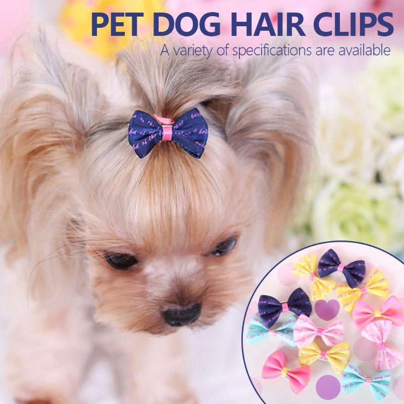 JEPIT - Aksesoris Kucing Anjing Jepit Kucing Anjing Hair Clip Kucing Pita Kucing Anjing