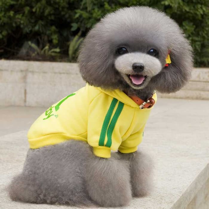 Jual Adidog Baju Jaket Hoodie Anjing Berkualitas Shopee Indonesia