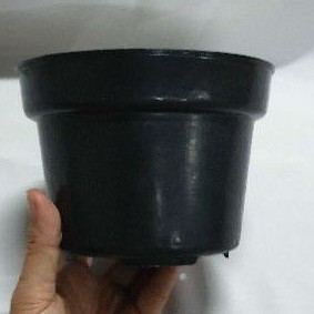 POT BASIC MOTIF SERAT KAYU HITAM UK 15 : pot basic murah pot semai grosir