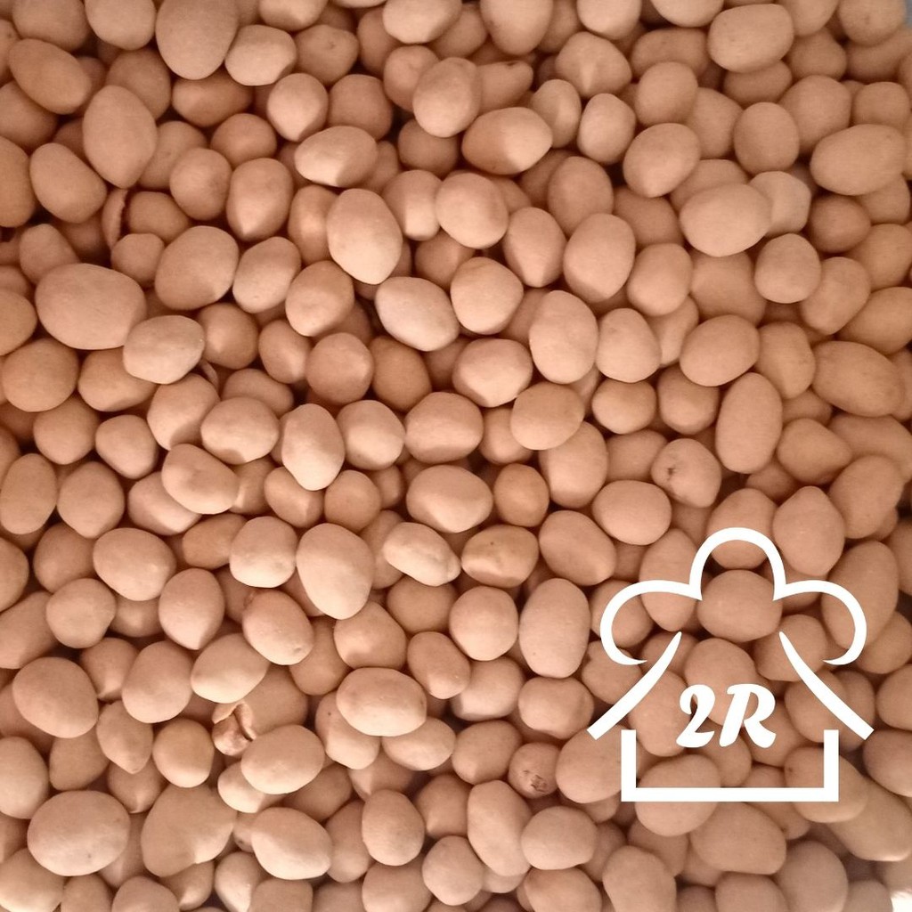 

KACANG ATOM/ KACANG TELUR OVEN KILOAN 250 GRAM/ SNACK CEMILAN