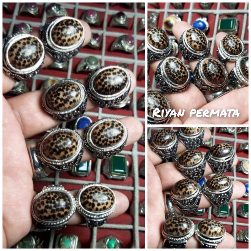 Cincin kayu liwung,agatis,asem,nogosari,stigi