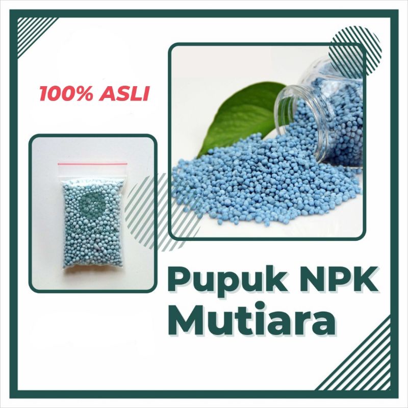 PUPUK BUAH ECERAN NPK PERANGSANG BUNGA dan PELEBAT BUAH