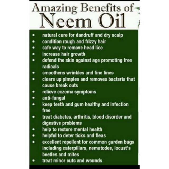 Pure Neem Oil 10 ml / Scabies Skin / Cosmetic Grade