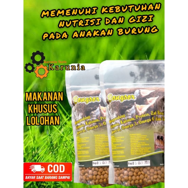 BONGSOR PAKAN LOLOHAN PAKAN KHUSUS ANAKAN BURUNG MURAI