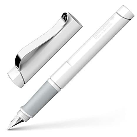 

(TERLARIS) Schneider Pen