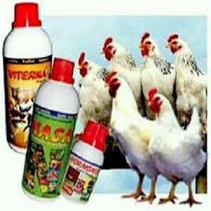 Produk Nasa Untuk Ternak Ayam Pedaging