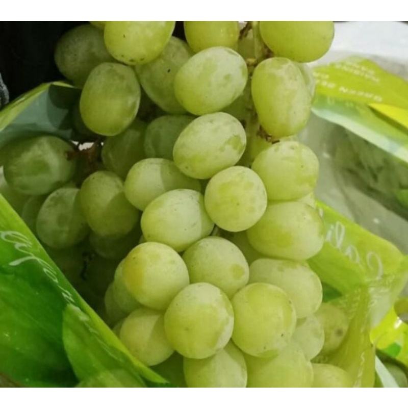 

Anggur Hijau Autumn King Premium Seedless