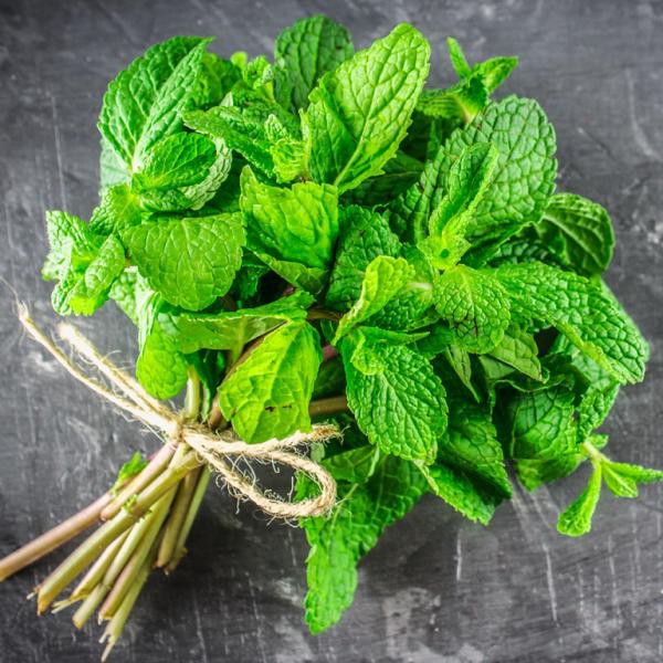 

daun mint per 250 gram