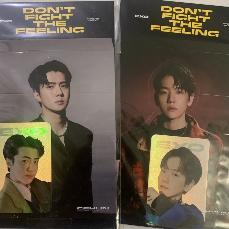 EXO MD DFTF - HOLO PC BAEKHYUN HOLO PC SEHUN