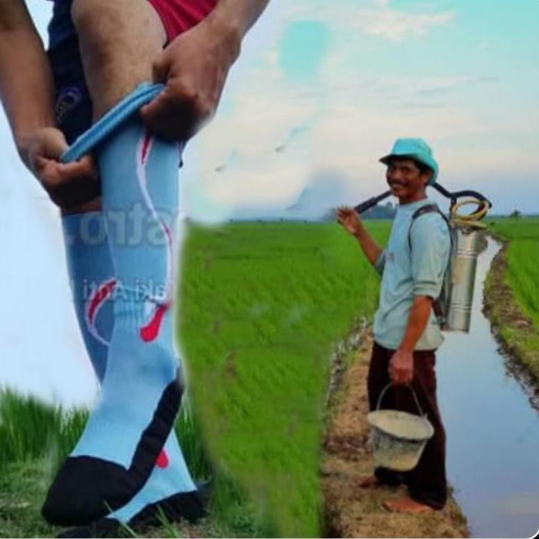 Grosir Kaos kaki sawah/ grosir sepatu sawah/ kaos kaki gondang/keong/petani/alat pertanian (KODE 304