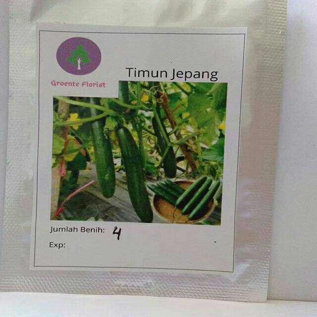Benih timun jepang / bibit timun jepang
