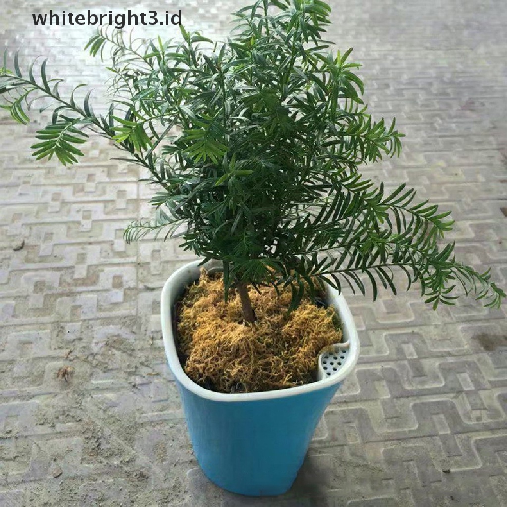 (whitebright3.id) Pot Bunga / Tanaman Otomatis Untuk Irigasi Kebun