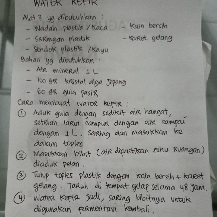 J7A2 Bibit water kefir kristal alga jepang water kefir grain 8B0