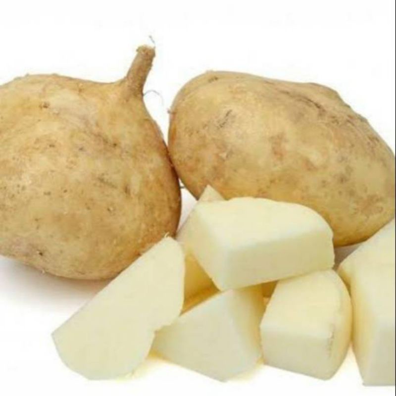 

Buah bengkuang 500gram
