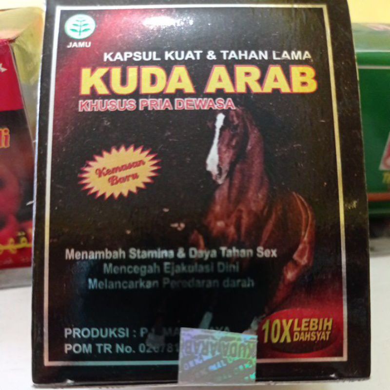 Kapsul Kuda Arab