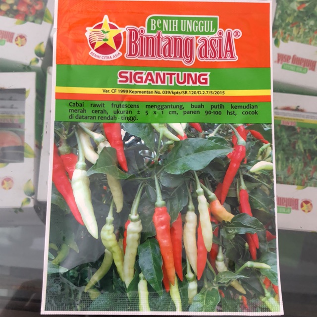 Cabe Rawit Sigantung F1