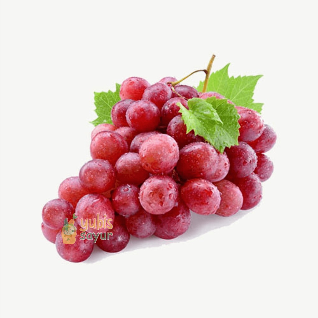 

Anggur Merah