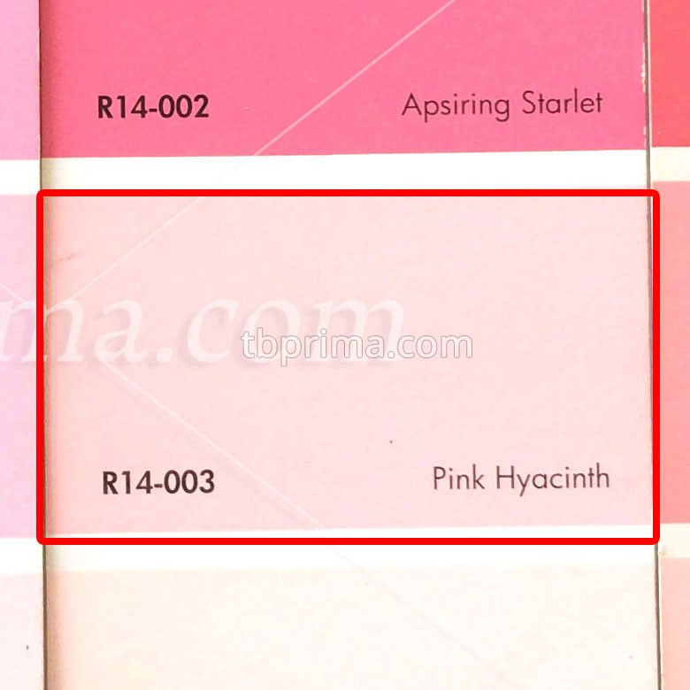 No Drop Tinting R14-003 Pink Hyacinth 1 kg