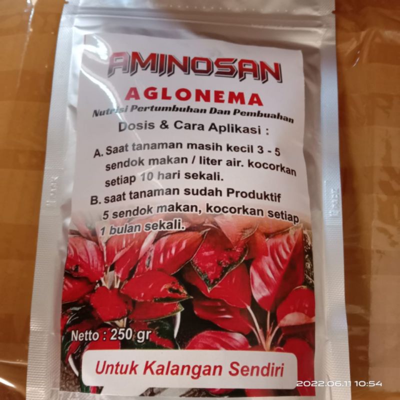 suplemen vitamin tanaman aglonema