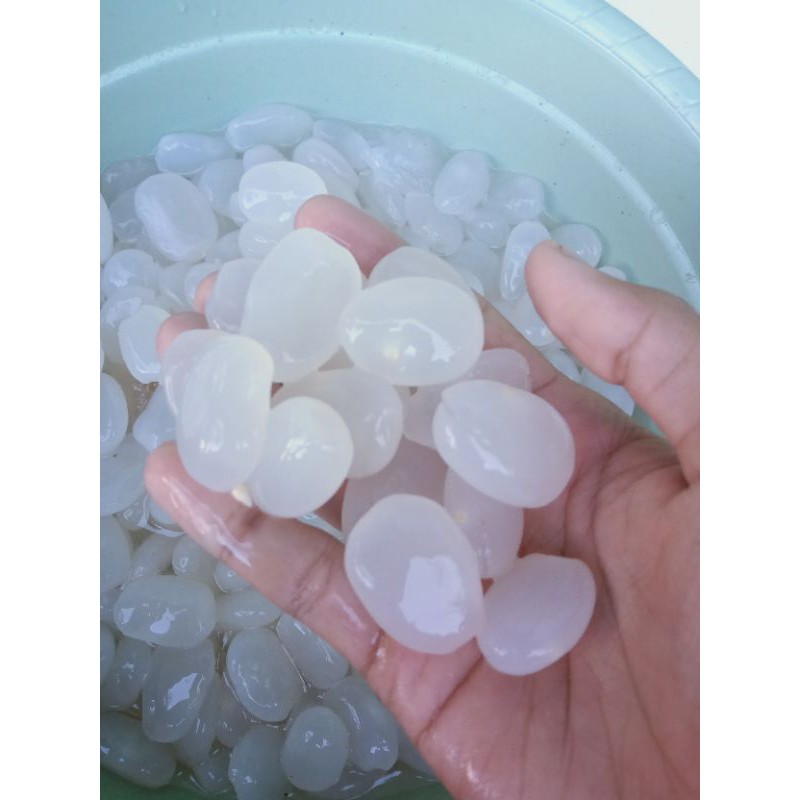 

kolang kaling caruluk mentah super