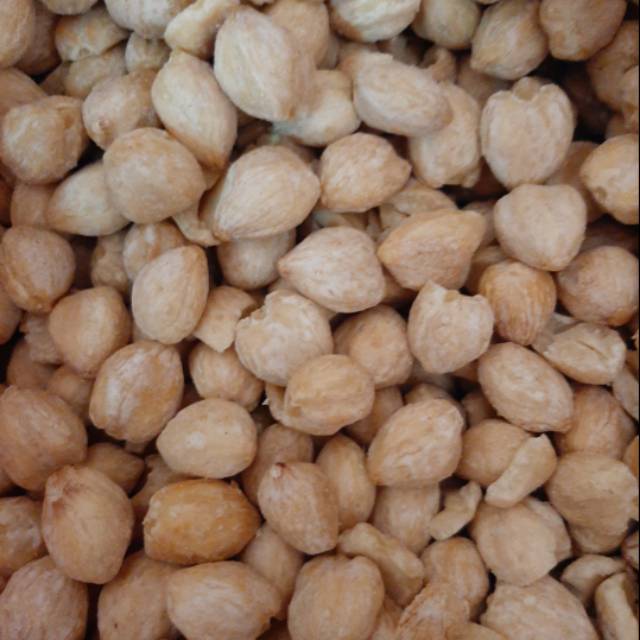 

Kemiri bulat / biji kemiri 500 gram