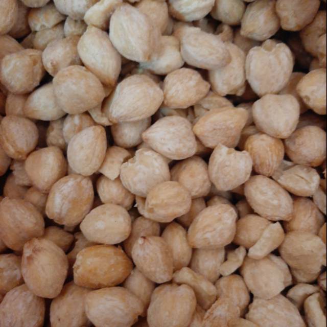 Kemiri bulat / biji kemiri 500 gram