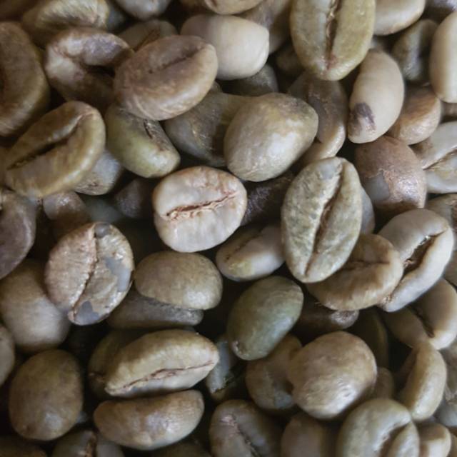 

biji kopi robusta pagaralam 1kg