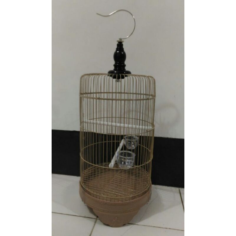  Sangkar  pleci sangkar burung kecil  sangkar  bulat sangkar  