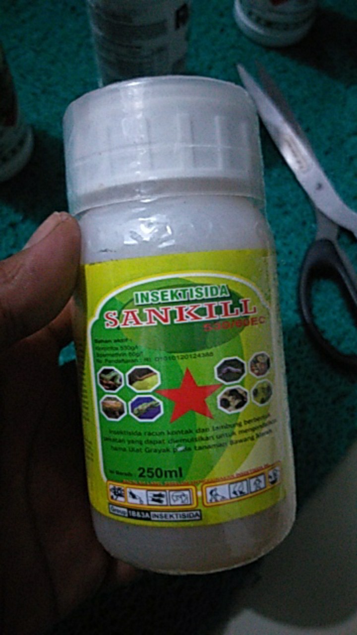 Insektisida Sankill 590ec 250ml Insektisida Pembasmi Hama Pada Tanaman
