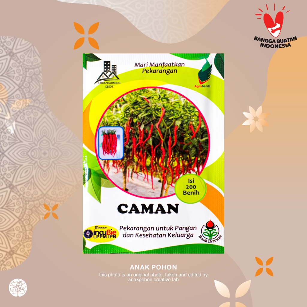 (1 PACK) Benih Cabai Caman Cabe Keriting Merah Kopay - IPB Retail Pack - 200 SEEDS