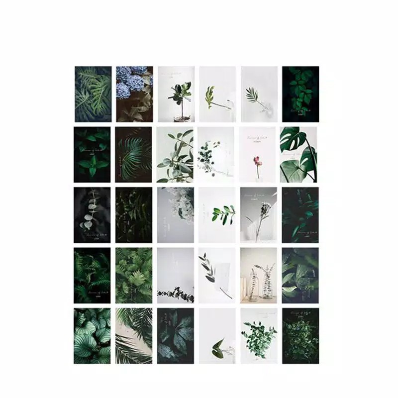 Kartu Pos Postcard Leaf Daun Random