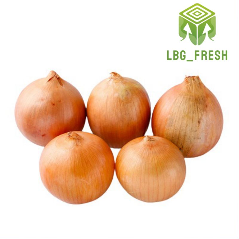 

Bawang Bombay ( onion ) 500gr