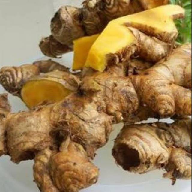 Rimpang umbi bangle herbal