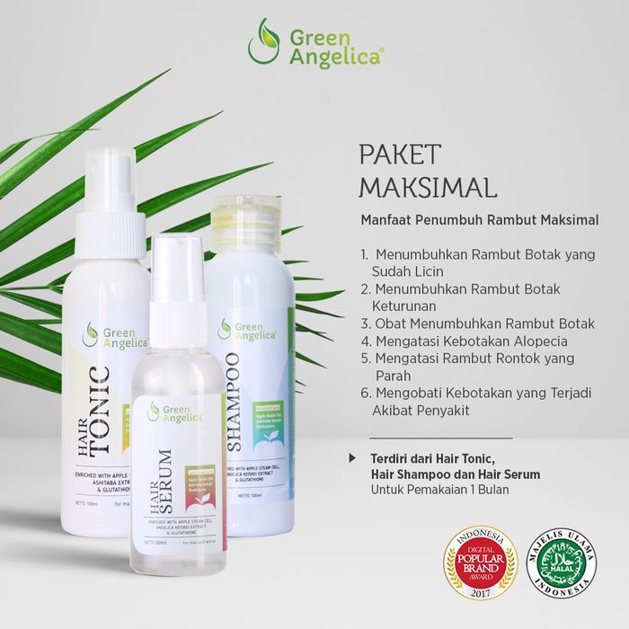 Paket Maksimal Green Angelica Shampoo Tonic Serum Untuk  Rambut Rontok Menipis Botak