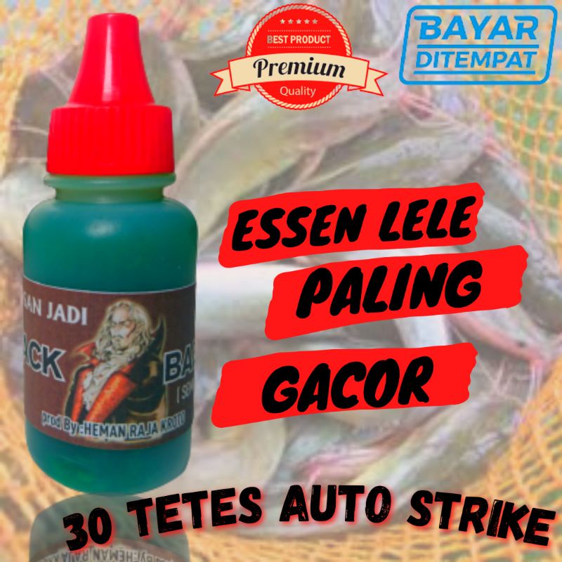 essen ikan lele mancing galatama semua media umpan total dan babon